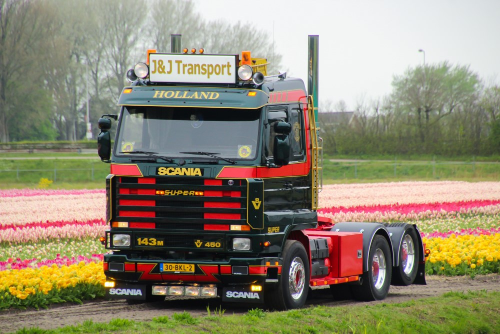 wsi,tekno,imc.Scania Iggy Madden Transport 1/50.Rare,neuf,certificat n